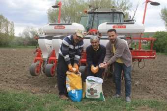 Yozgat'ta 5 çeşit kuru ve yeşil fasulye deneme ekimi yapıldı