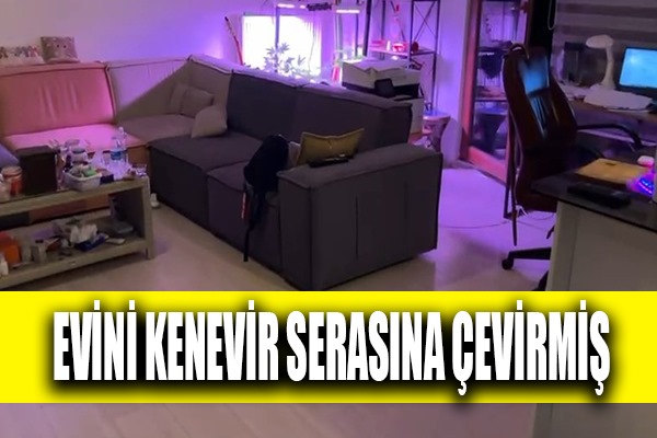 Ev değil kenevir serası 