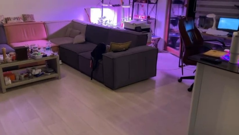 Ev değil kenevir serası 