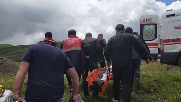 Mantar toplarken ayı saldırısına uğradı