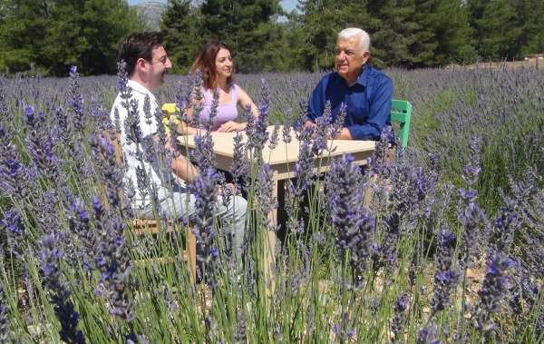 Muğla'da Lavanta sezonu açıldı