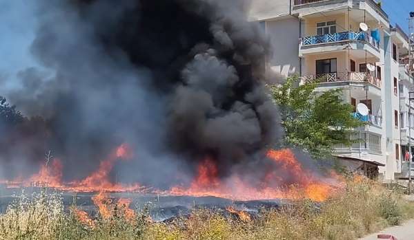 Tokat'ta arazide çıkan yangın evlere sıçramadan söndürüldü