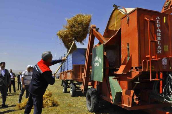 Yozgat'ta yeşil mercimek ekim alanı yüzde 30 artarak 224 bin dekara yükseldi