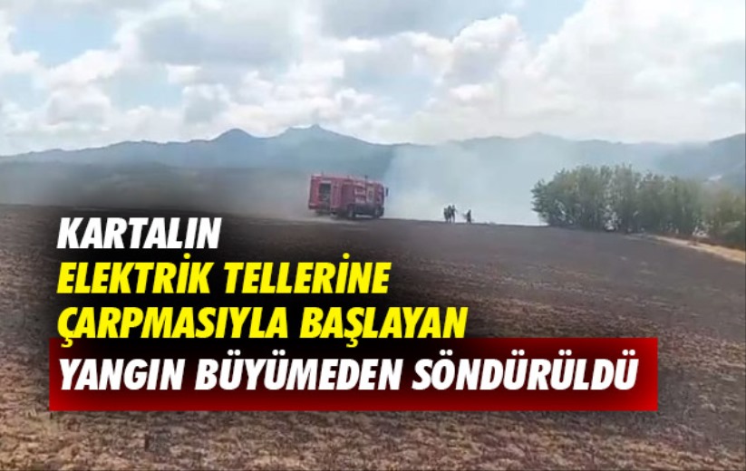 Kartalın elektrik tellerine çarpmasıyla başlayan yangın büyümeden söndürüldü