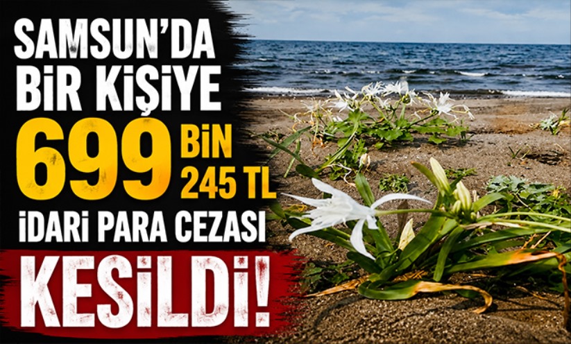 Çevre Kanunu'nu ihlal eden kişiye 699 bin TL idari para cezası