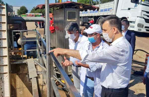 Türk Şeker'in domatesine çiftçilerden ilgi