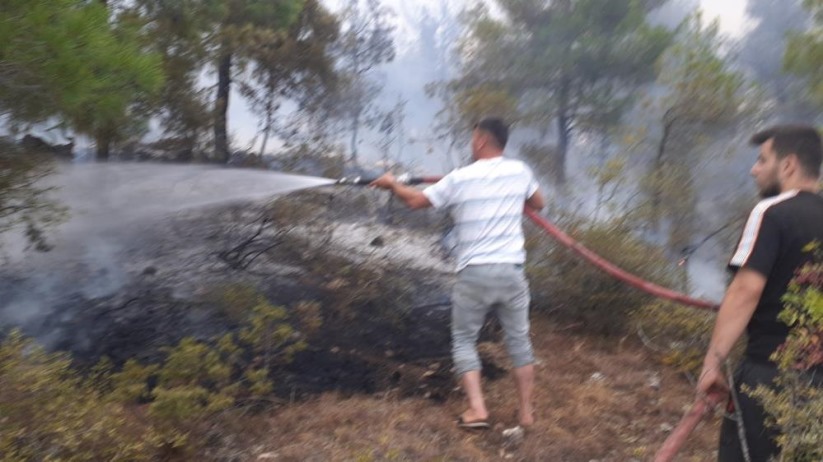 Samsun'da ormanlık alanda yangın: 50 dönüm alan zarar gördü