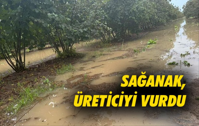 Samsun'da sağanak, üreticiyi vurdu