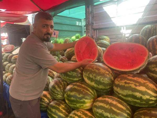 Verimi yüksek olan karpuzun fiyatı yüzde 100'den fazla düştü