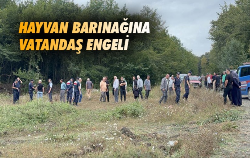Samsun'da hayvan barınağına vatandaş engeli