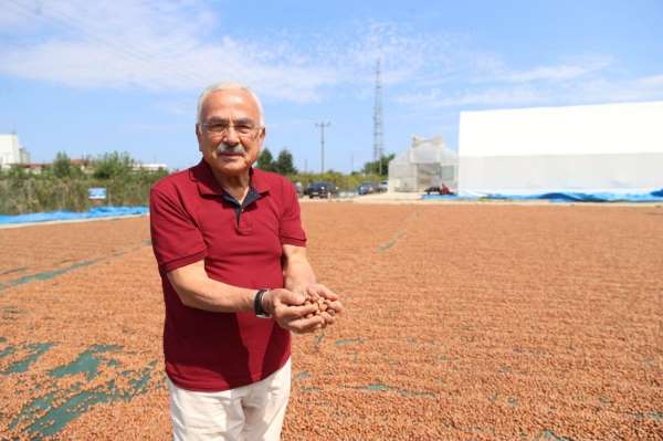 Başkan Güler: 'Fındığa hem bilimsel hem teknik yaklaşıyoruz'