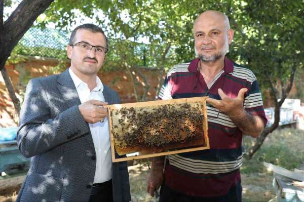 'Sokmayan arılar' Yozgat'ta lavanta balı üretimine başladı
