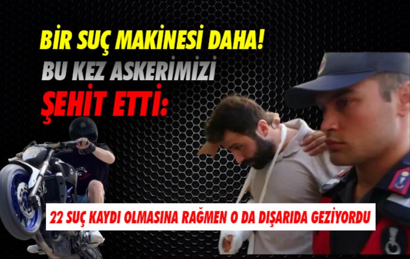 Bir suç makinesi daha! Bu kez askerimizi şehit etti: 22 suç kaydı olmasına rağmen dışarıda geziyordu