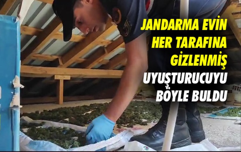 Samsun'da jandarma evin her tarafına gizlenmiş uyuşturucuyu böyle buldu