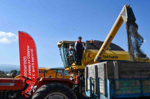 Bolu'da 23 bin 500 dekarda ayçiçek hasadı başladı