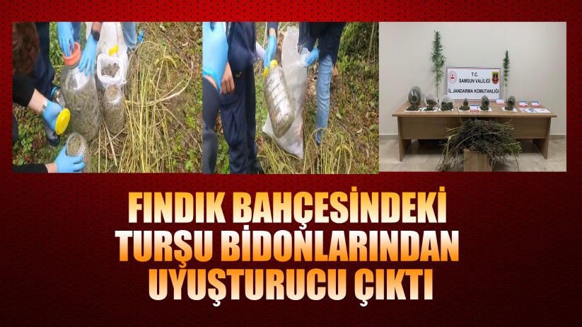 Fındık bahçesindeki bidonlardan uyuşturucu çıktı
