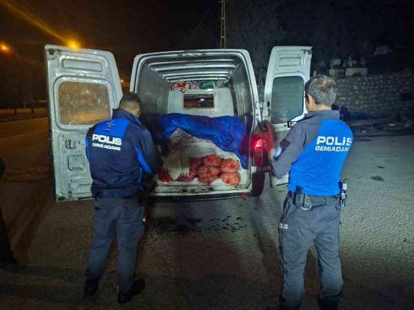 Samsun'da 5 ton kaçak midye ele geçirildi