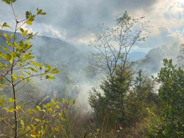 Türkeli'de otluk alanda çıkan yangın söndürüldü