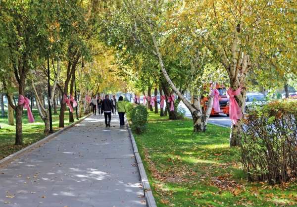 Atatürk Üniversitesi'nde 'Meme Kanseri Farkındalık Ayı' etkinlikleri devam ediyo