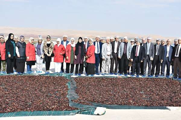 Şanlıurfa Teknokent İstihdama Yönelik Projelerle Öne Çıkıyor 