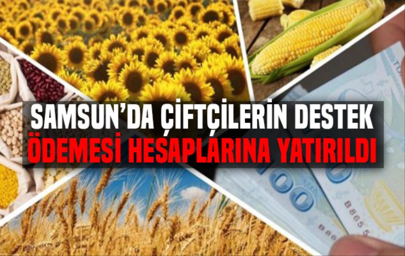 Samsun'da çiftçilerin destek ödemesi hesaplarına yatırıldı