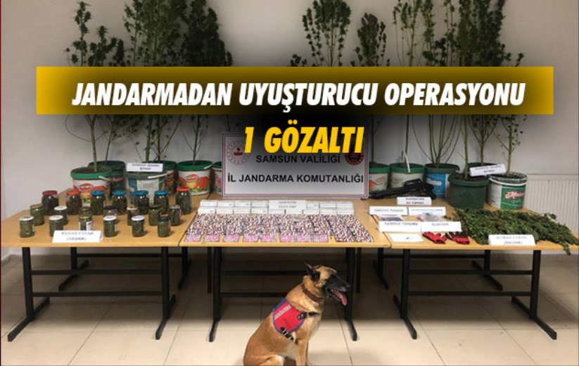 Samsun'da Jandarmadan uyuşturucu operasyonu: 1 gözaltı