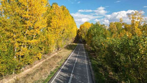 Tokat'ta belediyenin yaprakları temizlemediği parklarda renk cümbüşü oluştu