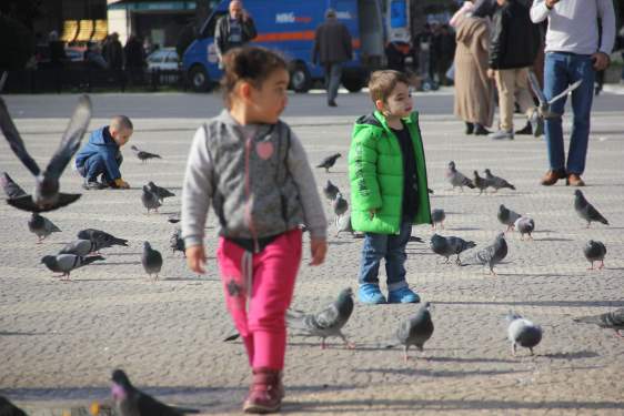 Yalancı bahar yaşıyor Samsun!