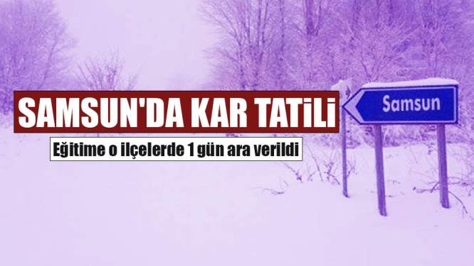 Samsun Haberleri: Samsun'da Kar Tatili
