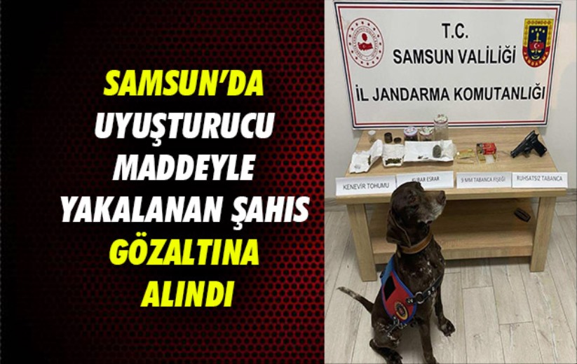 Samsun'da uyuşturucu maddeyle yakalanan şahıs gözaltına alındı