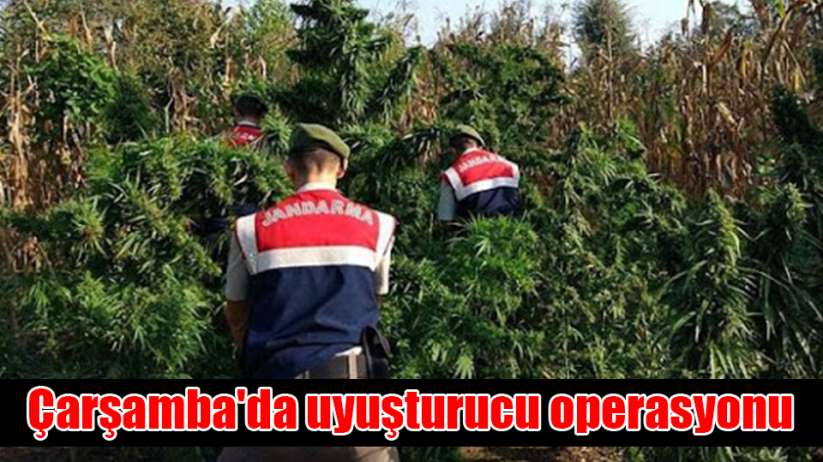 Çarşamba'da uyuşturucu operasyonu: 1 tutuklama