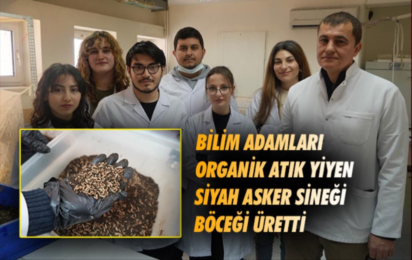 Samsun'da bilim adamları organik atık yiyen siyah asker sineği böceği üretti