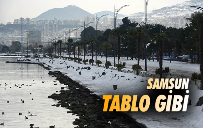 Samsun tablo gibi