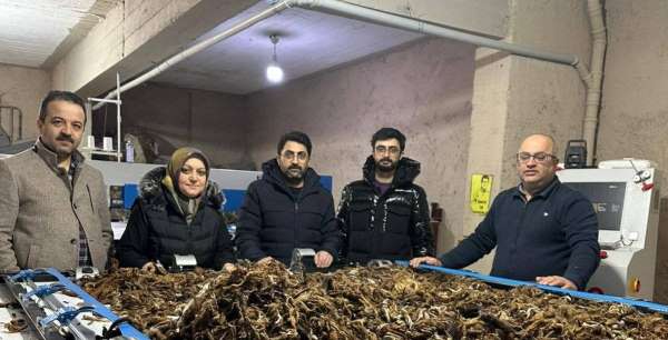 Erzurum'da atık yünler yeşil dönüşümle değer kazanıyor