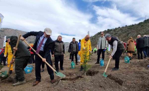 Amasya Orman Bölge Müdürü Özer: 'Türkiye en çok ağaçlandırmada Avrupa'da 1. sırada'