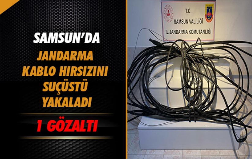 Samsun'da Jandarma kablo hırsızını suçüstü yakaladı