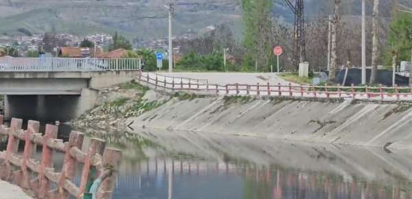 Yeşilırmak Nehri'nde balık ölümleri incelemeye alındı