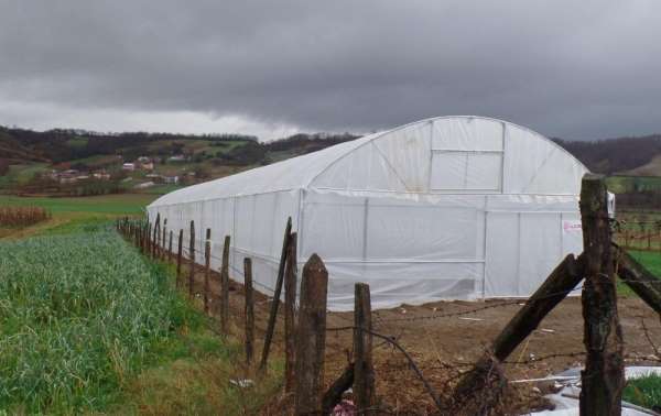 Büyükşehir'den çiftçilere yüzde 50 hibeli sera naylonu desteği 
