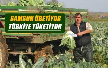 Samsun üretiyor, Türkiye tüketiyor