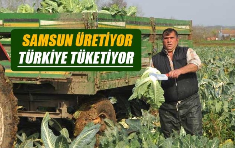 Samsun üretiyor, Türkiye tüketiyor - Samsun haber