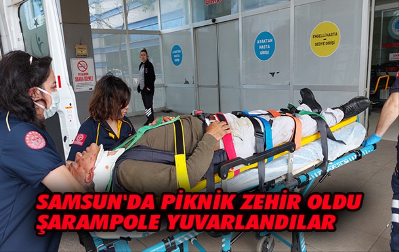 Samsun'da piknik zehir oldu şarampole yuvarlandılar