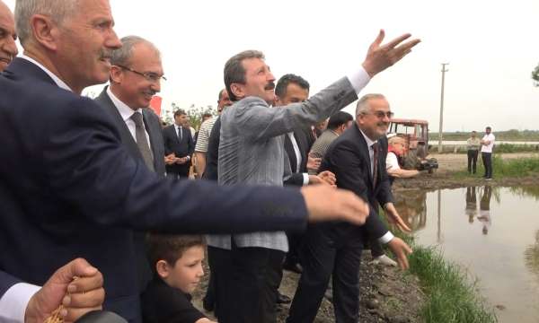 Türkiye'nin ikinci büyük çeltik üretim merkezi Bafra Ovası'nda '10. Çeltik Ekim Günü'