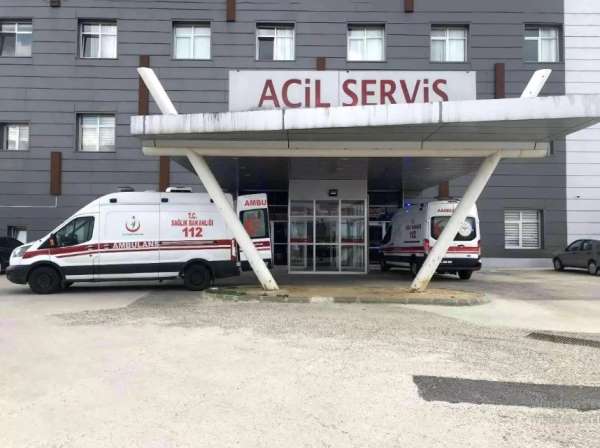 Arı saldırısına uğrayan yaşlı çift hastanelik oldu