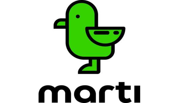 Martı, mahkeme kararıyla e-ulaşım lisansını aldı