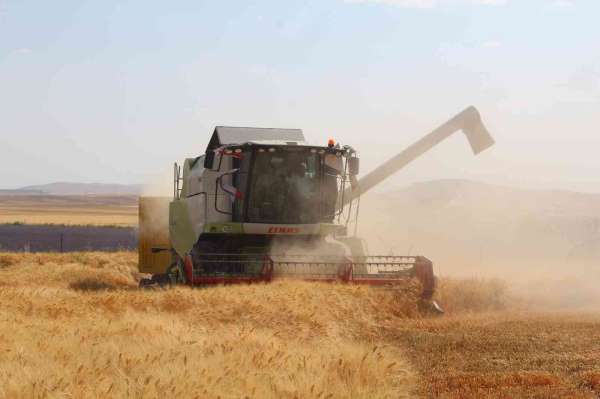 Siirt'te Toprak Mahsulleri Ofisi alım primi desteği başladı