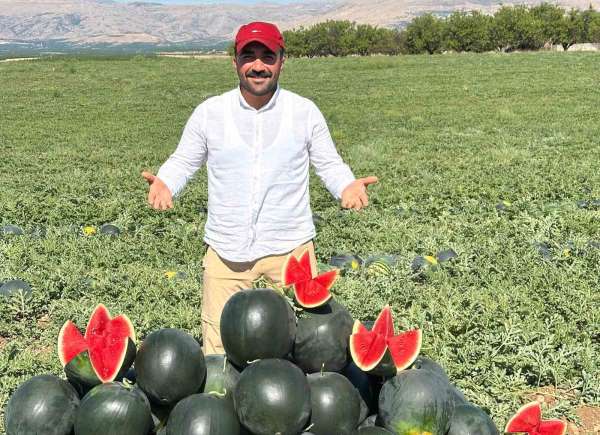 Malatya'da karpuz ve kavun hasadı yüz güldürüyor