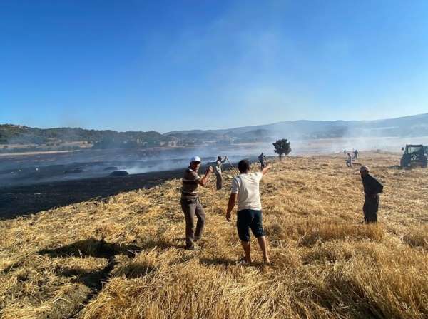 Sinop'ta anız yangını: 60 balya saman kül oldu