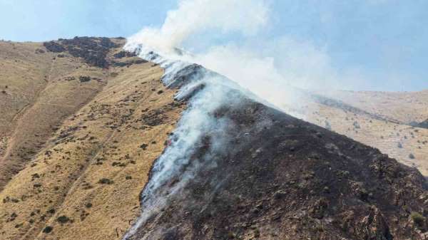 Elazığ'da dağlık alanda çıkan yangında 1 şüpheli gözaltına alındı