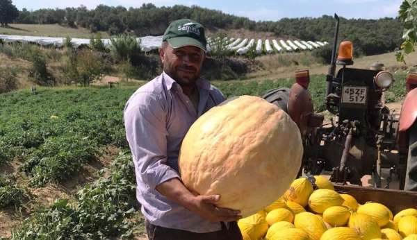 Denemek için diktiler aldıkları verim yüz güldürdü 