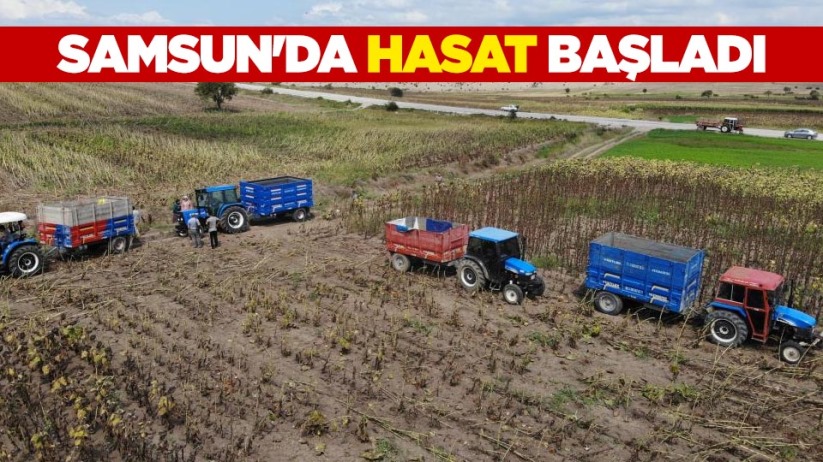 Samsun'da hasat başladı